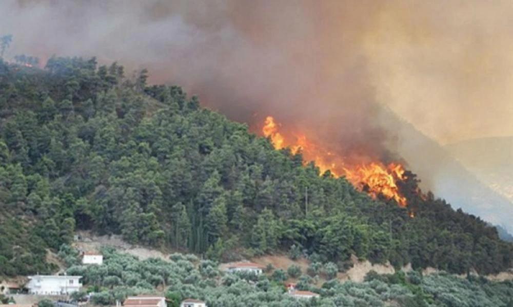 Ξέσπασε φωτιά στο Άγιο Όρος - Σηκώθηκαν εναέρια μέσα